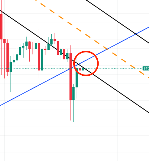스크린샷 2024-04-11 오전 1.01.02